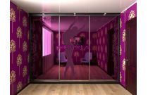 Шкаф-купе 4098