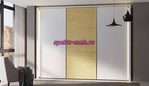 Шкаф-купе Билли