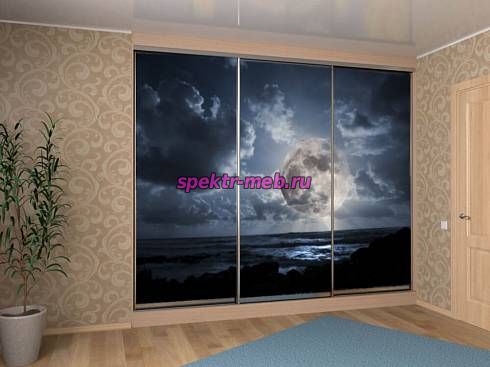 Шкаф-купе 4206