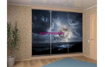 Шкаф-купе 4206