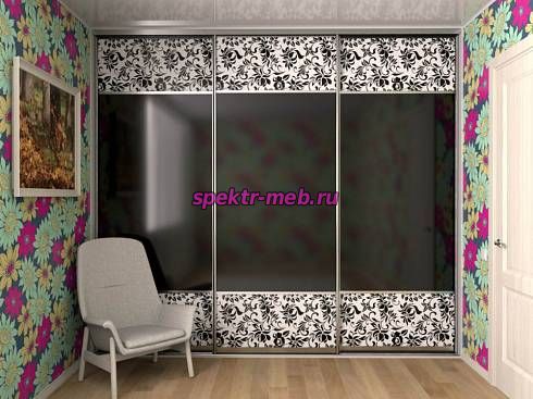 Шкаф-купе 3908