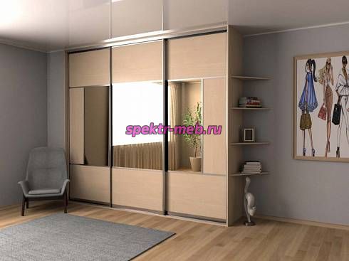 Шкаф-купе Холл