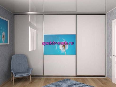 Шкаф-купе Виктор