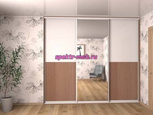 Шкаф-купе Стоун 2-2