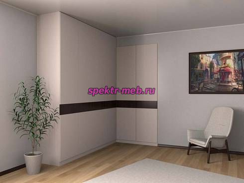 Распашной шкаф 19