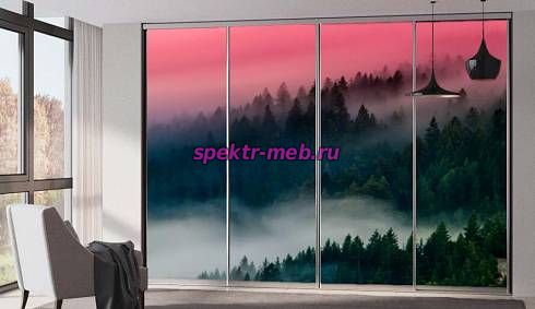 Шкаф-купе №1111