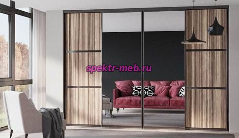 Шкаф-купе Синтия 109