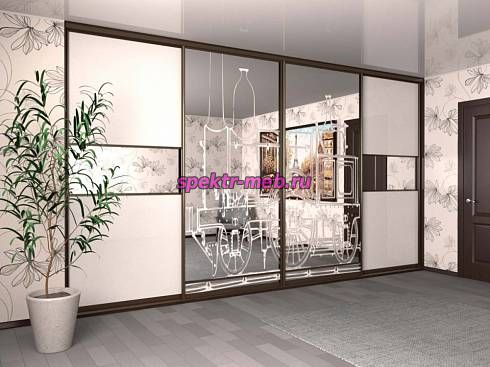 Шкаф-купе Пример 15