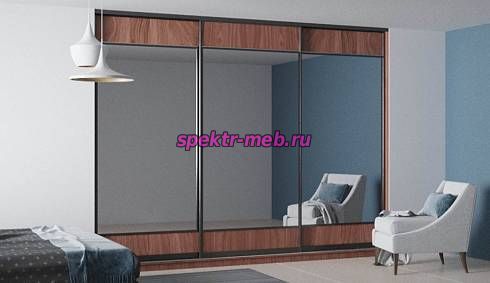 Шкаф-купе Ред