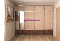 Шкаф-купе Сара №11.1