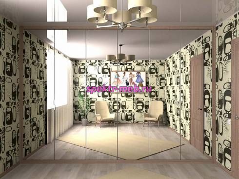 Распашной шкаф 1231