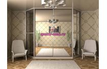 Шкаф-купе Милена