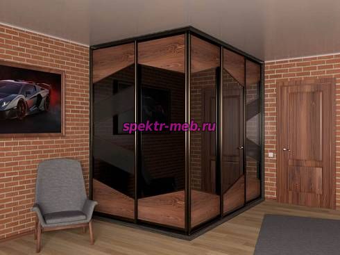 Шкаф-купе Лука Пример 26