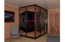 Шкаф-купе Лука Пример 26