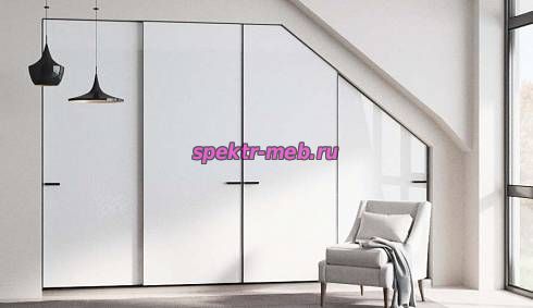 Шкаф-купе Рой