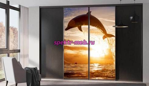 Шкаф-купе Нео 17