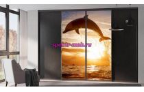 Шкаф-купе Нео 17