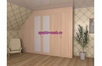 Распашной шкаф 869