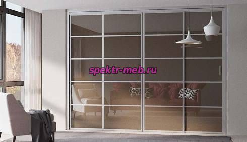 Шкаф-купе Дэра