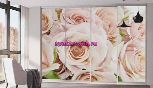 Шкаф-купе Нео 35