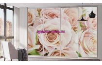 Шкаф-купе Нео 35