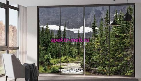 Шкаф-купе Лес