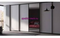 Шкаф-купе № 61