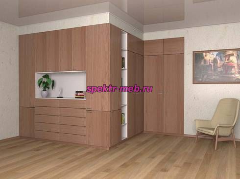 Распашной шкаф 708