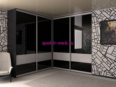 Шкаф-купе 4038