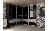 Шкаф-купе 4038