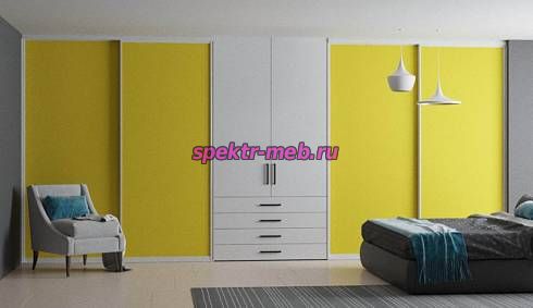 Шкаф-купе Лео №19