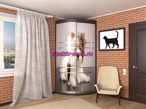 Радиусный шкаф Лайон-02