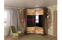 Шкаф-купе радиусный Тоня 17