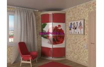 Шкаф-купе радиусный Роза