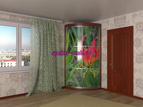 Радиусный шкаф Радион-1Ф