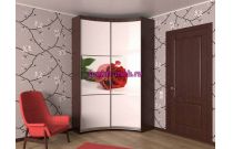 Радиусный шкаф Радион 11