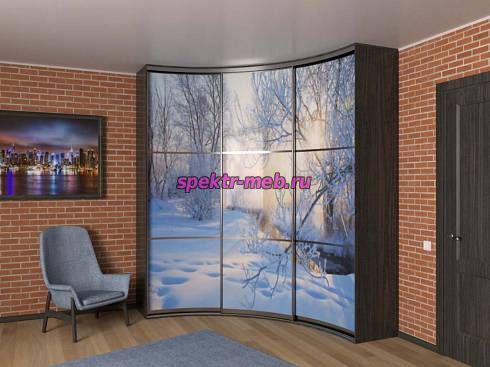 Шкаф-купе радиусный Роналд 53