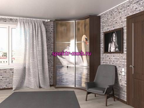 Радиусный шкаф Лайон-04