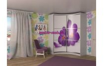 Шкаф-купе радиусный Артэй 20