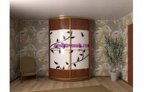 Шкаф-купе радиусный Бокар 58