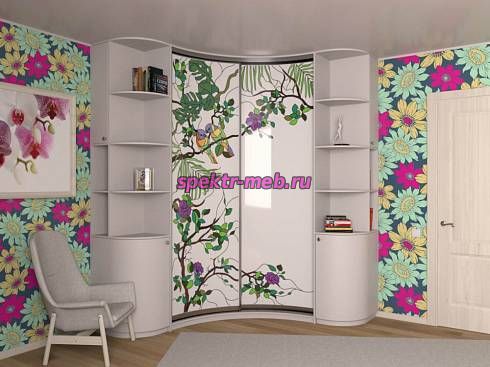 Шкаф радиусный Рори 6