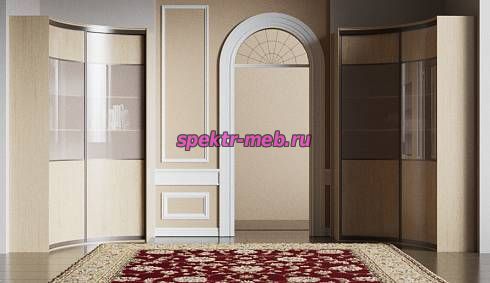 Шкаф-купе радиусный Фан 18.1