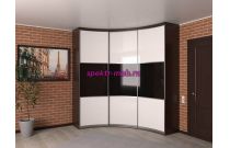 Радиусный шкаф Эйдж 16