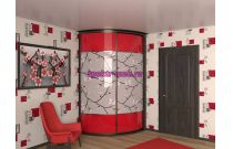 Шкаф-купе радиусный Камея 49