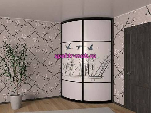 Шкаф-купе радиусный Камея 42