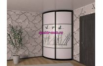 Шкаф-купе радиусный Камея 42