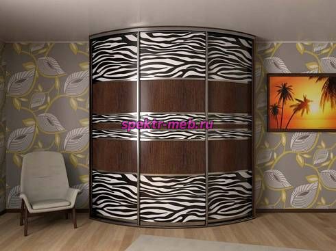 Шкаф-купе радиусный Камея 50