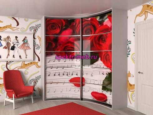 Шкаф-купе радиусный Терция 31