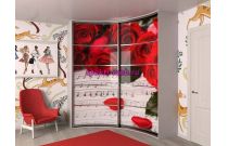 Шкаф-купе радиусный Терция 31