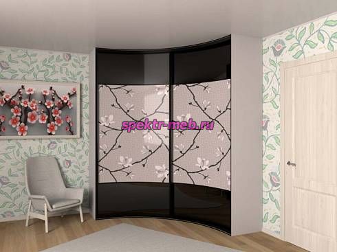 Шкаф-купе радиусный Камея 47